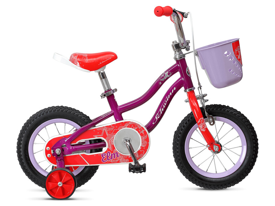 olmo de 12 pulgadas