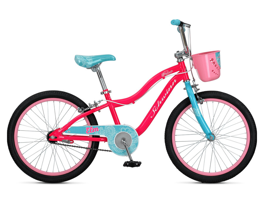 olmo de 20 pulgadas